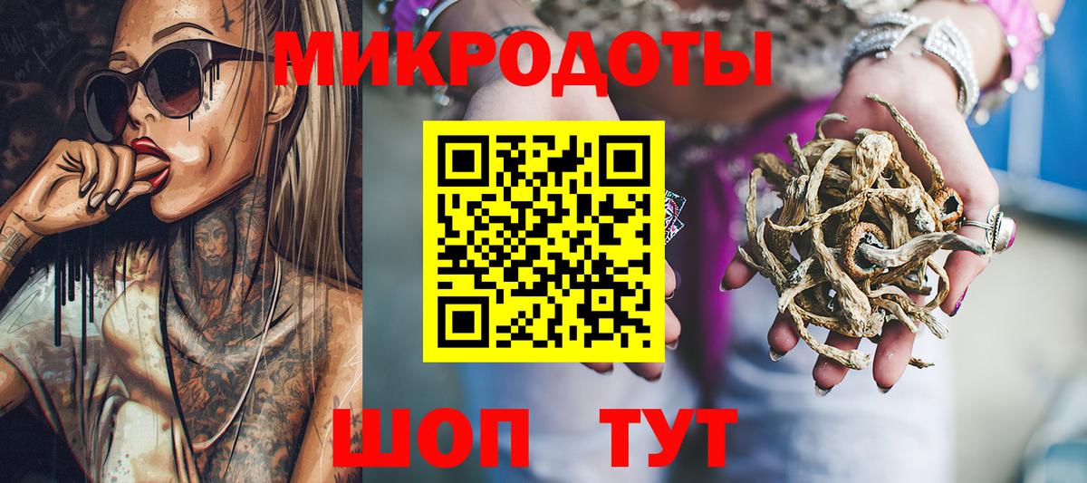 Камышлов  Псилоцибиновые грибы прущие грибы  Вход с VPN 